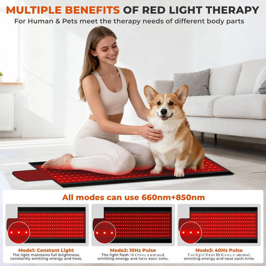 Red Light Therapy Heating Belt